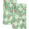 Fresh Daisy