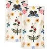 Butterfly Garden