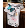 Morpho Butterfly