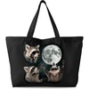 Three Raccoon
